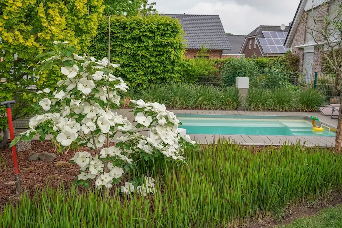 Terrasse mit Holzdeck und Pool, angelegt von Galabau Weyers