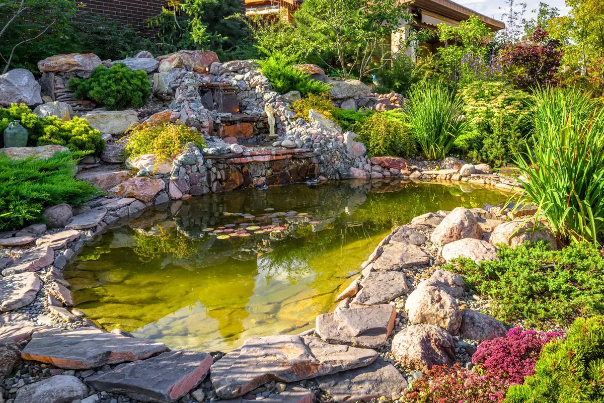 Neu angelegter Gartenteich